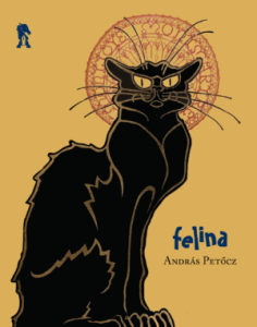 Felina-Front-cover-300x381-1.png